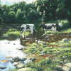 River Tees, Egglestone, with cattle. Gouache. Sold.