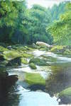  River Esk, East Arnecliff Wood #3. Acrylic. Stage 4