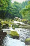  River Esk, East Arnecliff Wood #3. Acrylic. Stage 5