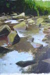 River Esk, East Arnecliff Wood #1. Acrylic. Stage 2