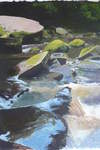 River Esk, East Arnecliff Wood #2. Acrylic. Stage 3