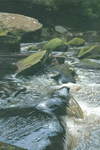  River Esk, East Arnecliff Wood  #2 Acrylic. 2009. 175 x 250mm. SOLD