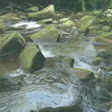 River Esk, East Arnecliff Wood #1. Acrylic. 2009. 175 x 250mm. SOLD