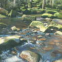 6. River Esk, East Arnecliff Wood #1. Acrylic. 2010.  250 x 180mm