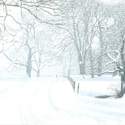 10. Snow, Hutton Village Road. Gouache. 2010. 210x320mm